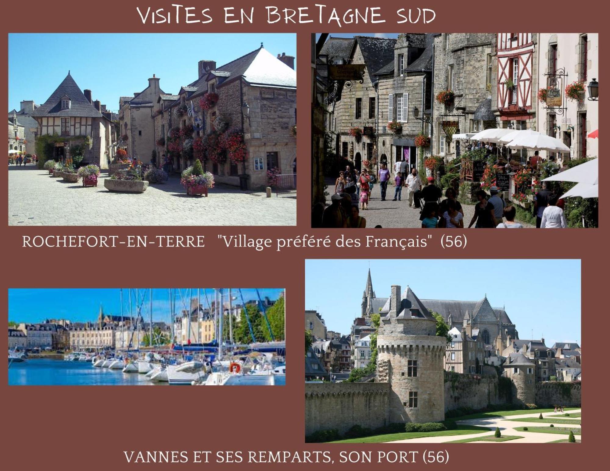 O Studio Terrasse - Centre Ville De Lorient - Gare エクステリア 写真